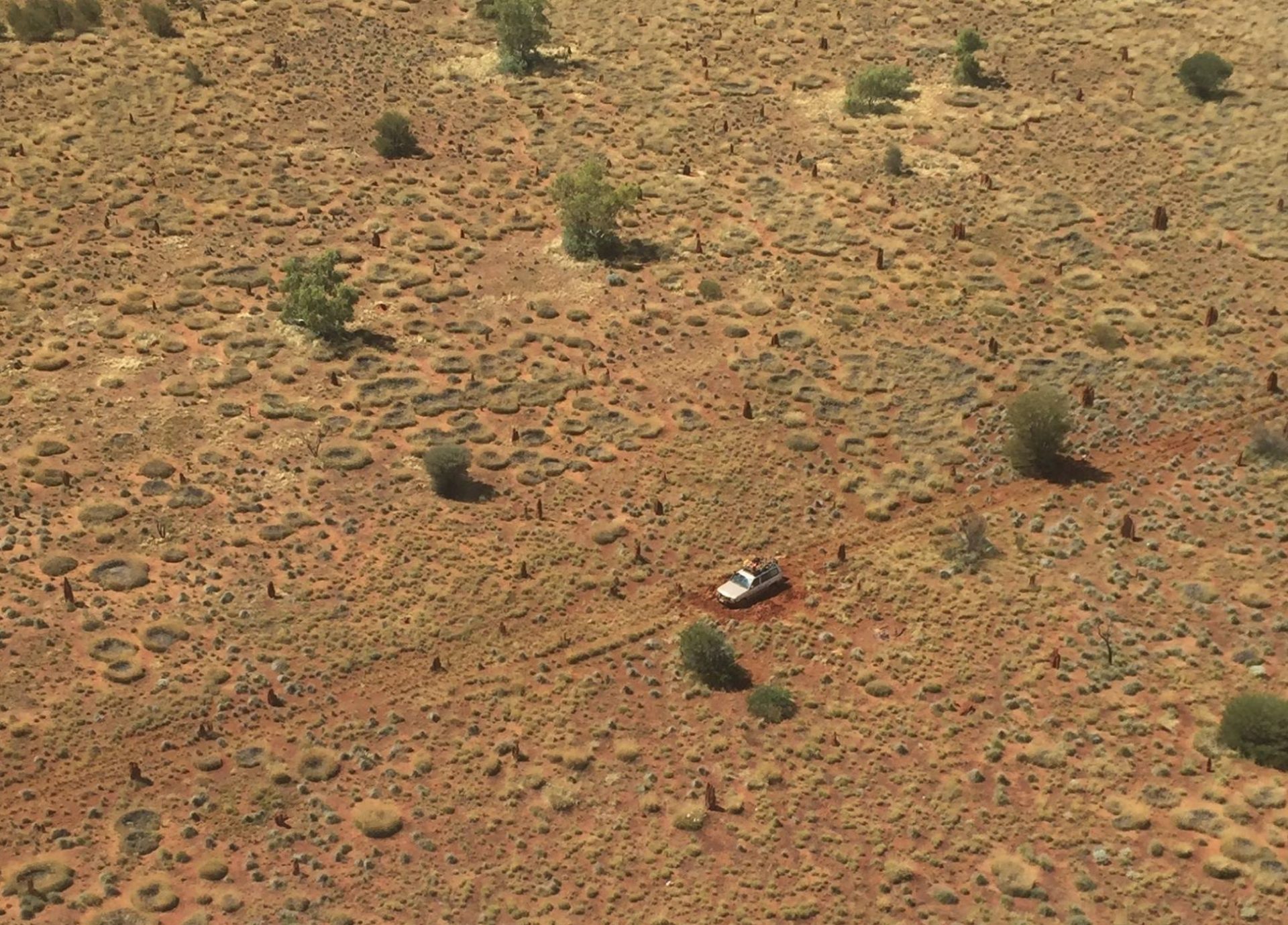 bogged gibson desert