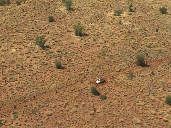 bogged gibson desert