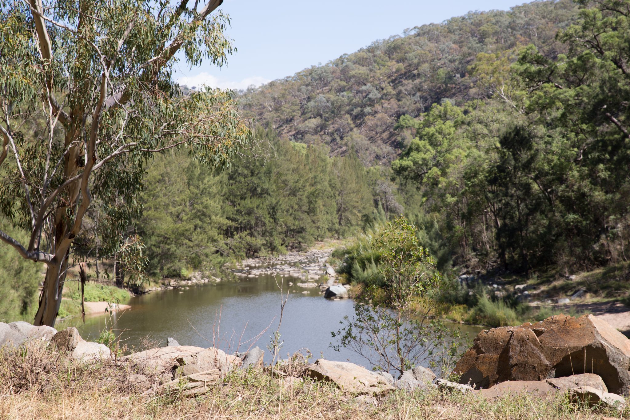 Root Hog Fire Trail river crossing now open
