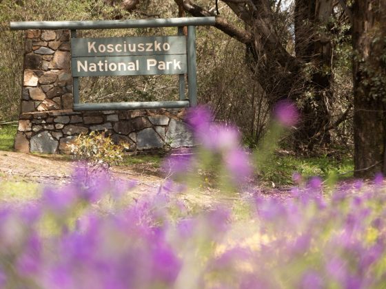camping snowy mountains