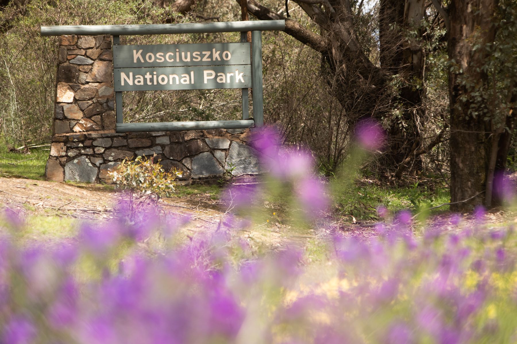 camping snowy mountains