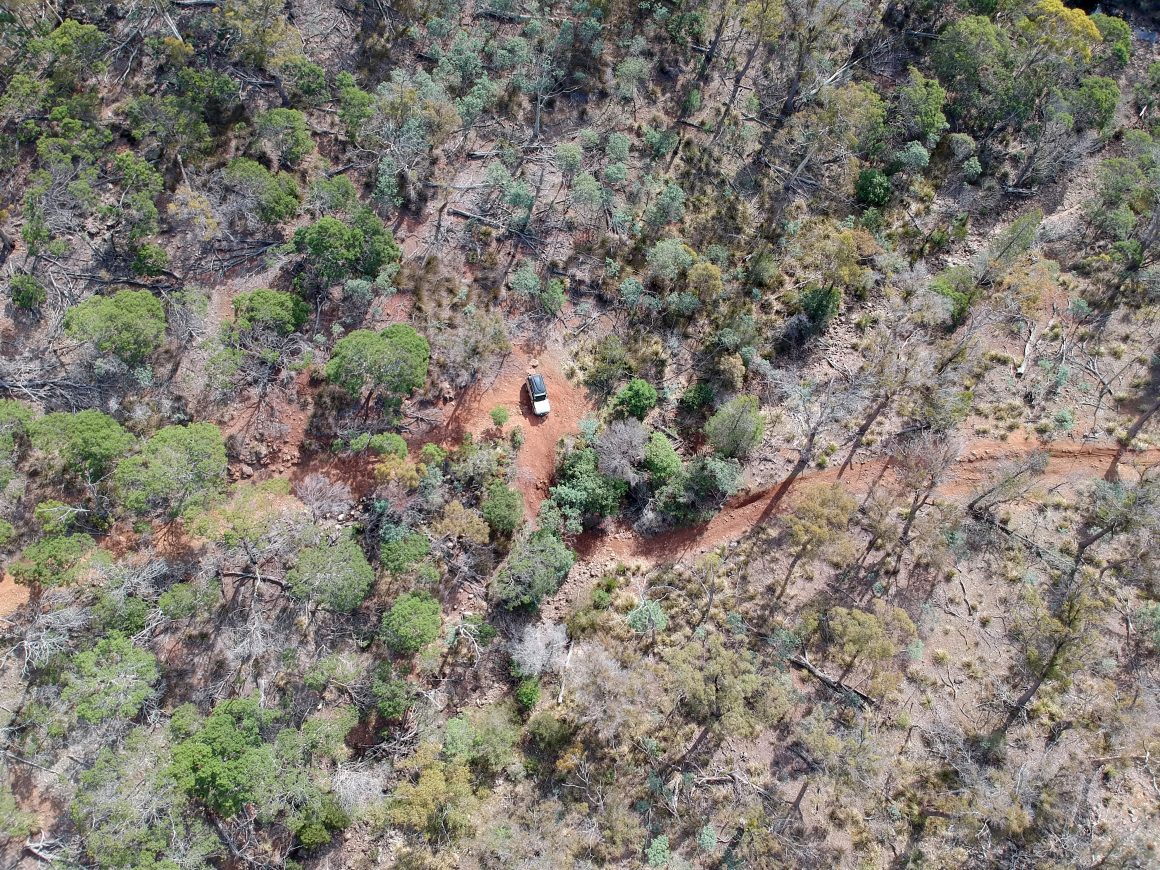 Tasmania Swanson Track