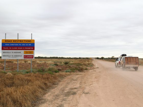 The track from Bedourie to Birdsville along the Diamantia track
