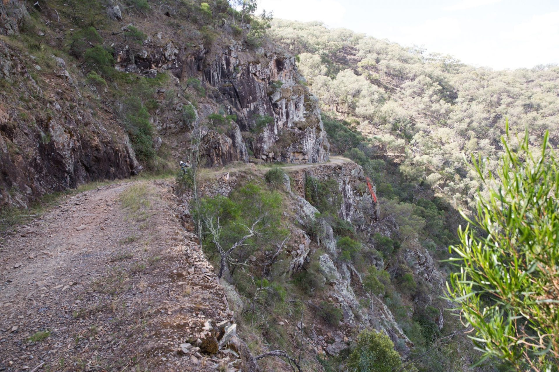 Bridle Track to reopen