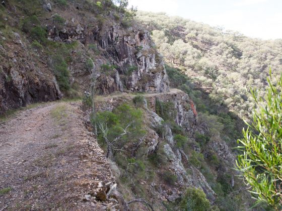 Bridle Track to reopen