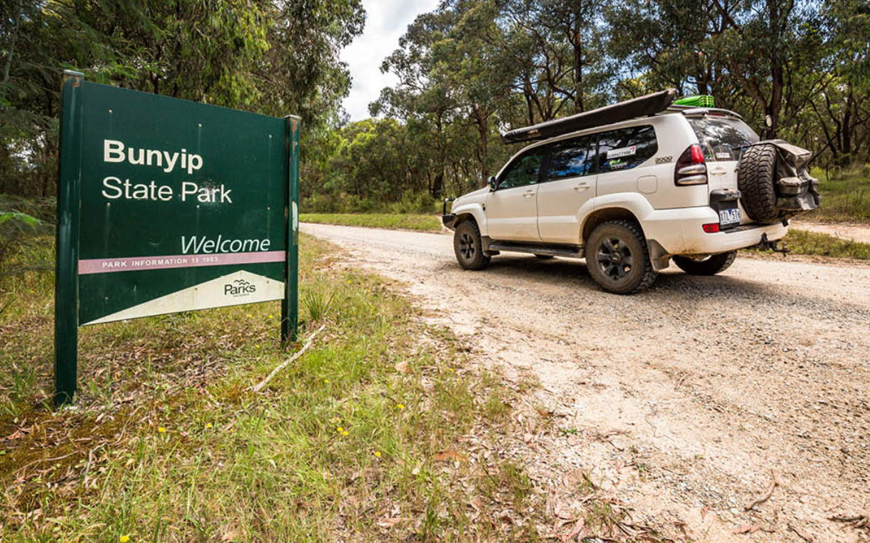 Bunyip 3
