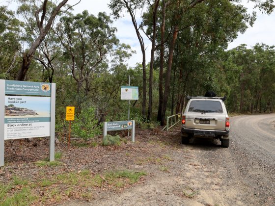 bundjalung entry point