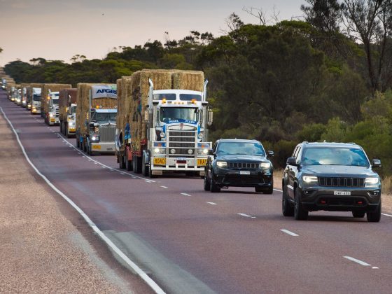 Eagleimage Davegoudie 154 20191212123849