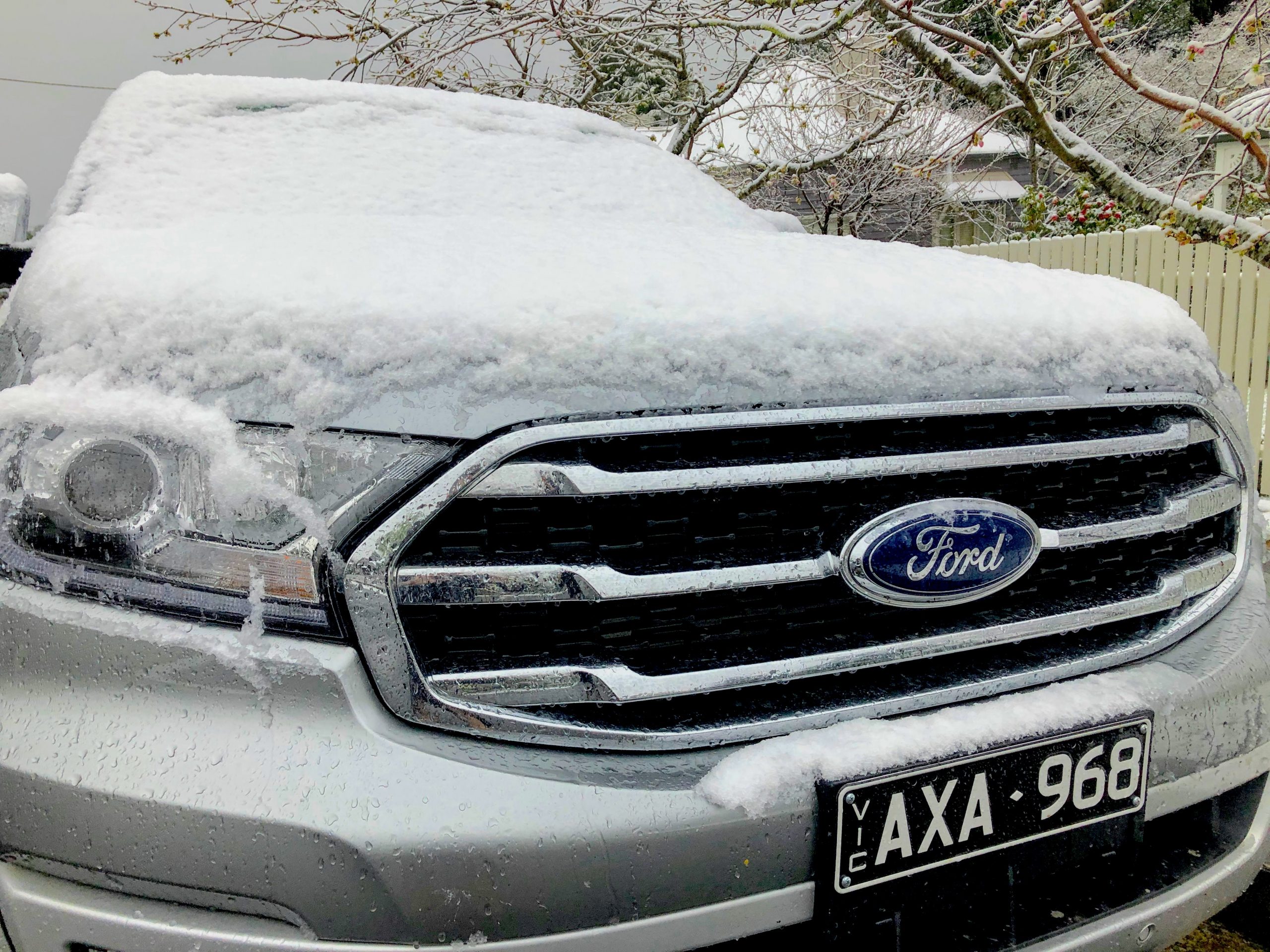 Ford Everest long-termer snow day