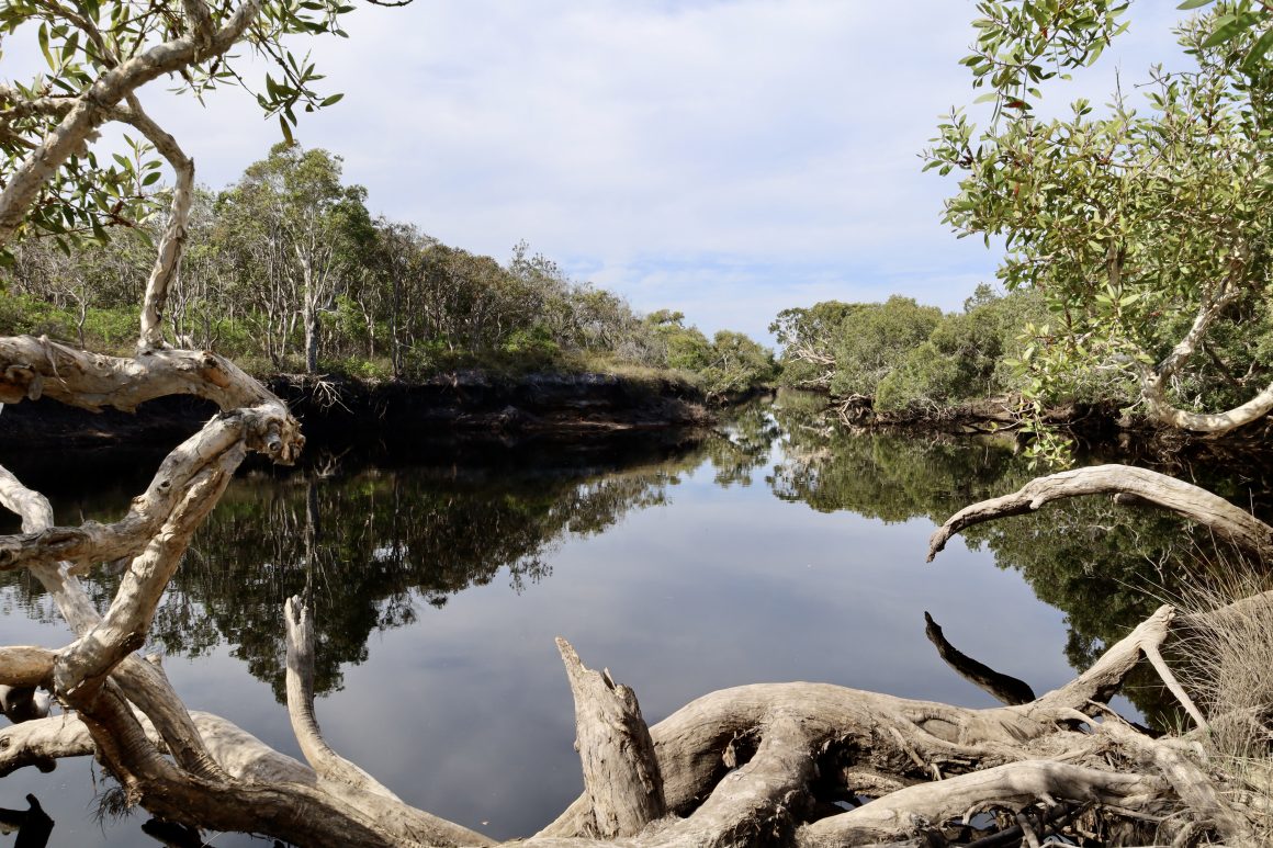 bundjalung jeruselum creek