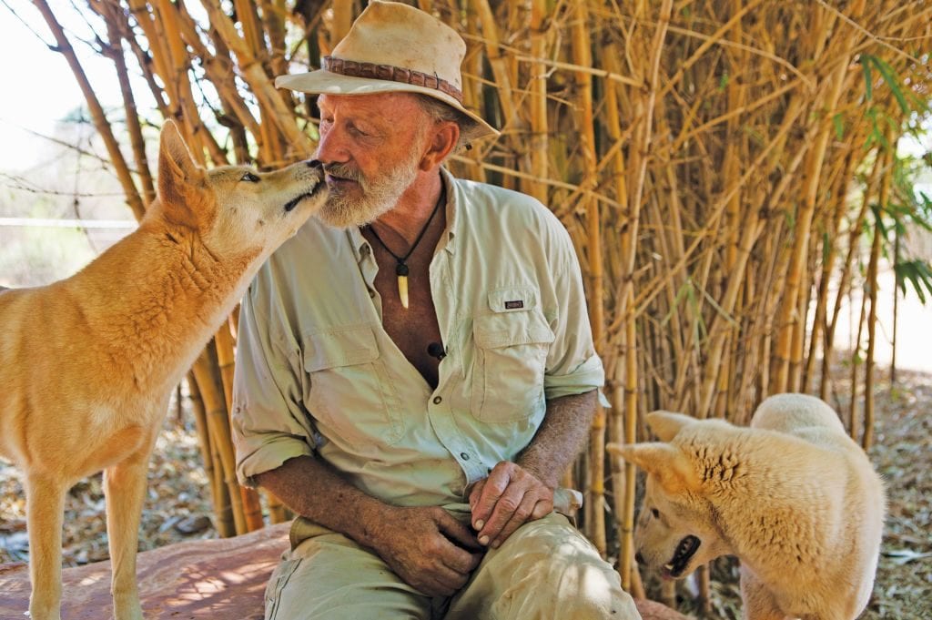 The late Malcolm Douglas with ginger and white Dingoes