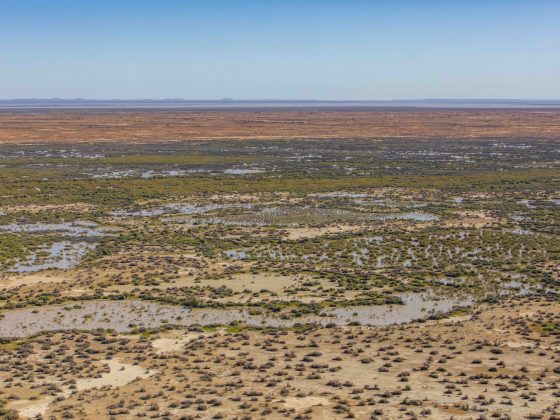 Narriearra Station 1