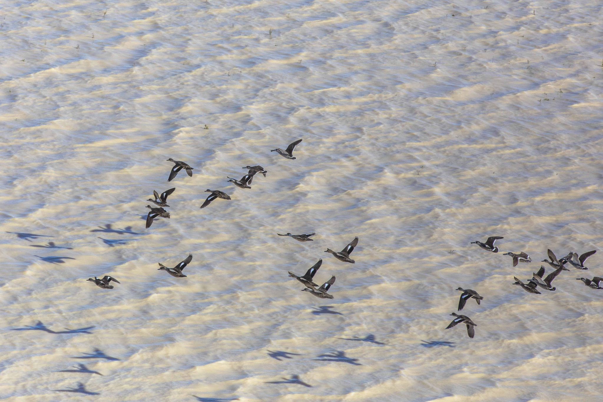 Narriearra Station 2