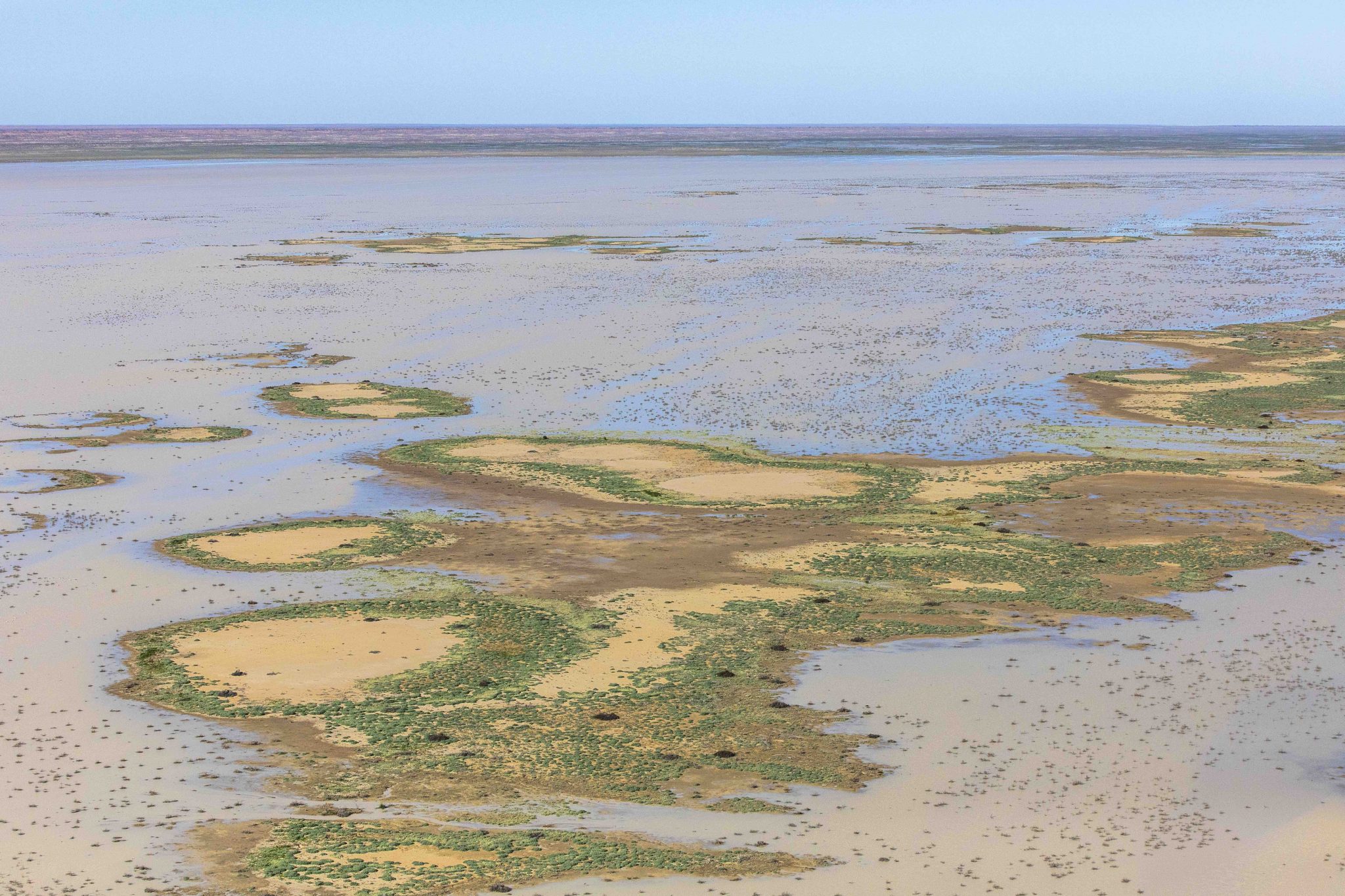 Narriearra Station 3