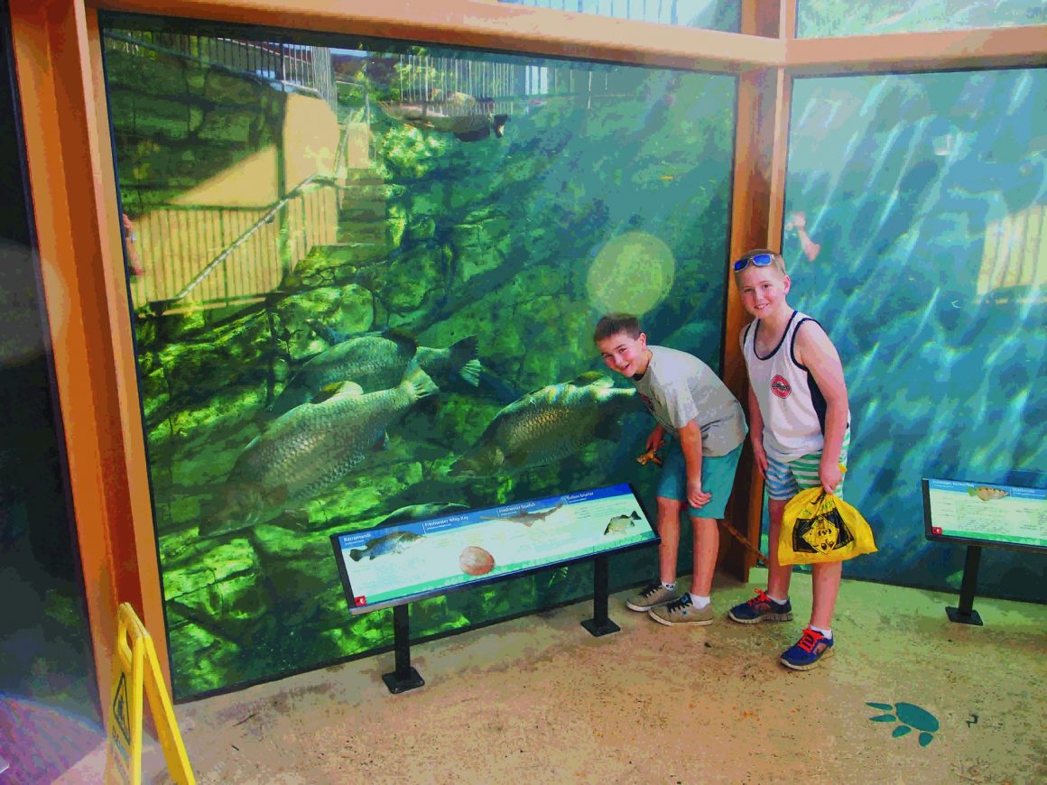 Ex Army Unimog Road Trip - Darwin