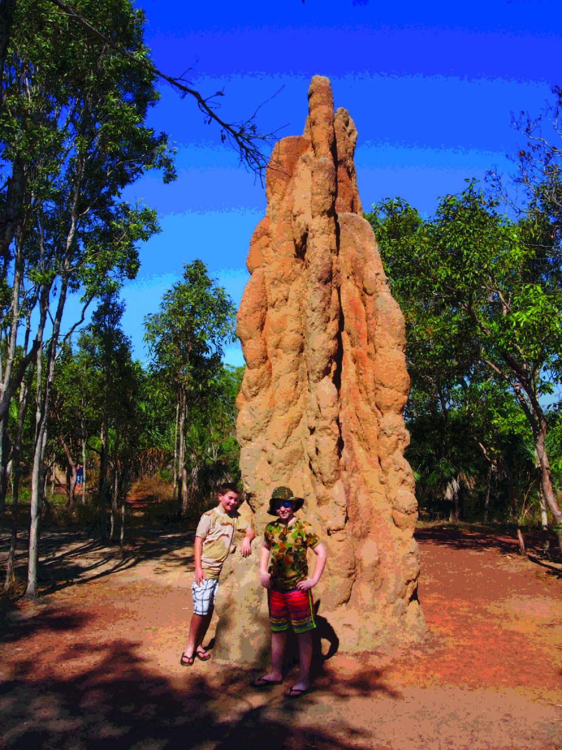 Ex Army Unimog Road Trip - Magnetic Termite Mound