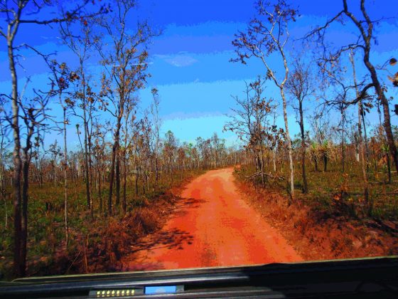 Ex Army Unimog Road Trip