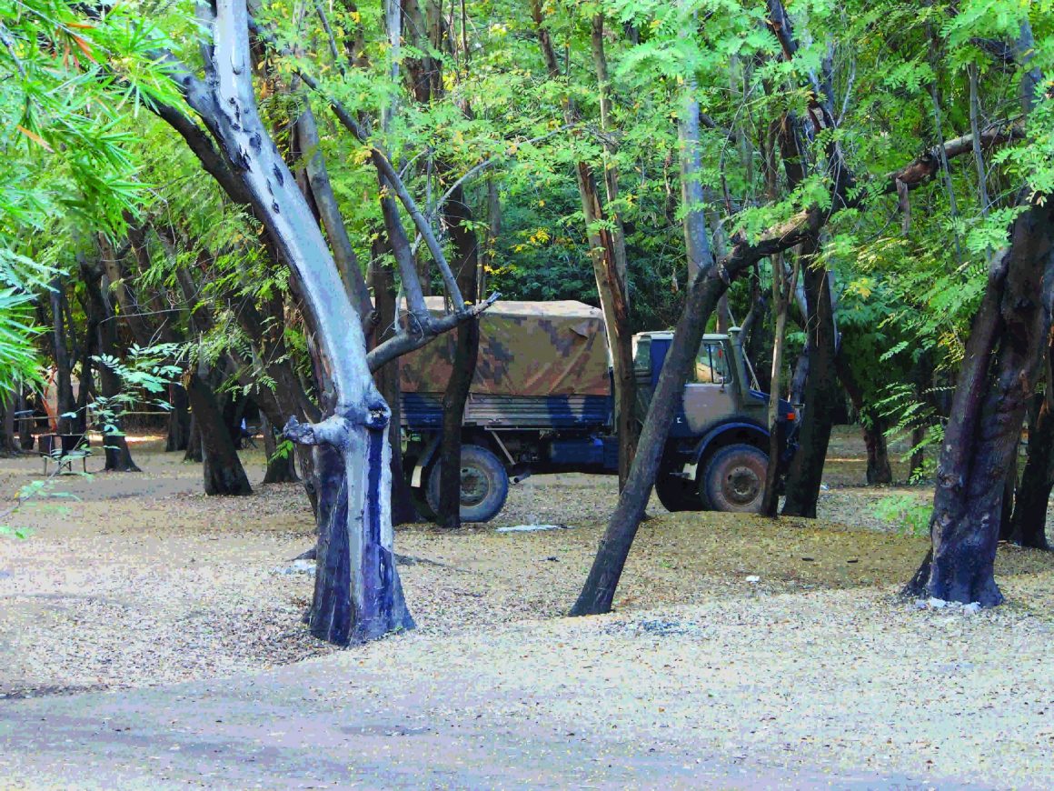Ex Army Unimog Off Road