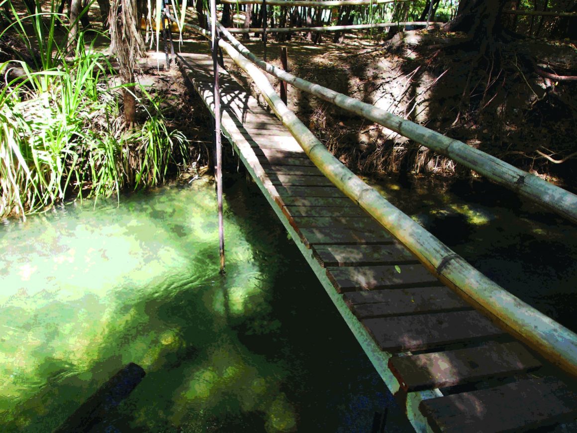 Ex Army Unimog Road Trip