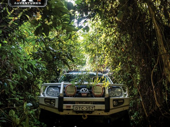 Pc4x4 Ep 4 The Cells State Conservation Area