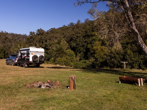 bungabee springs