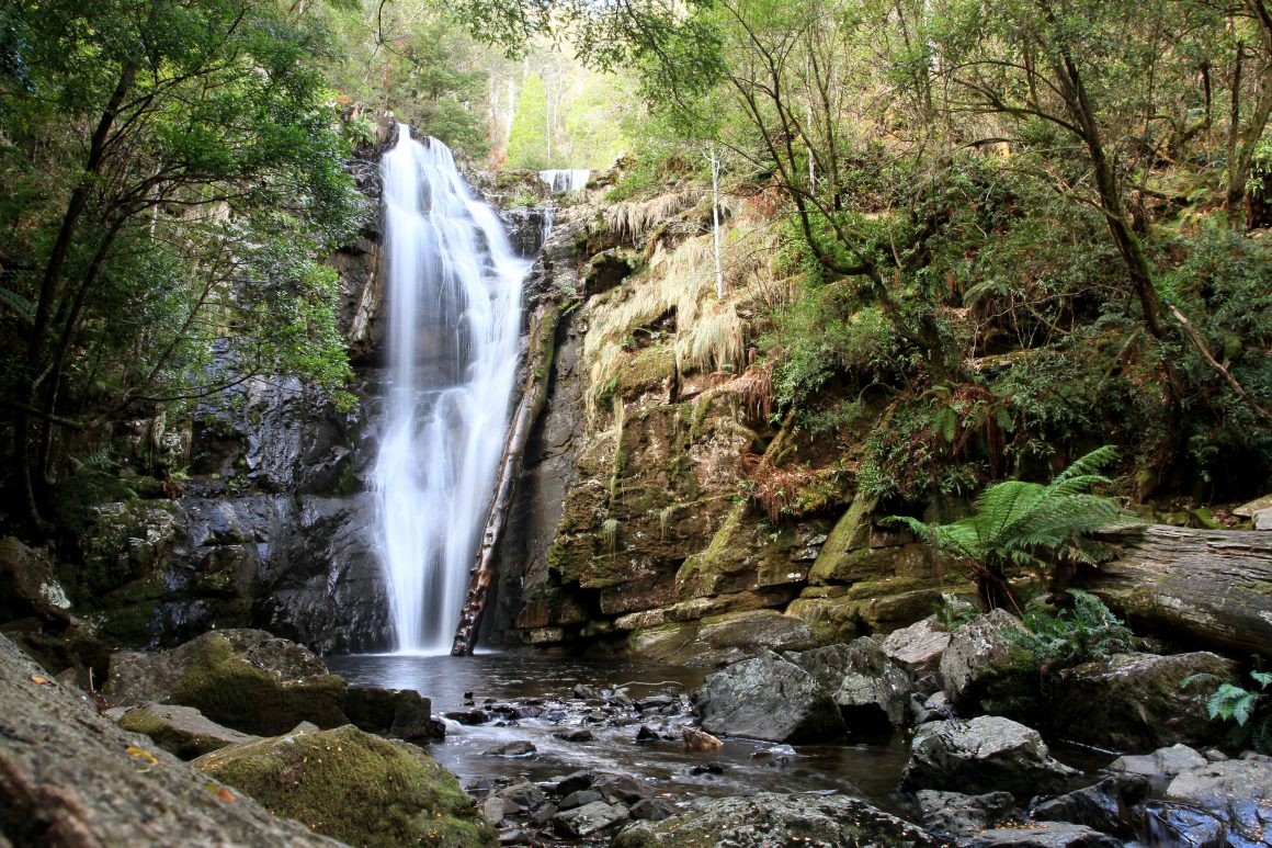 Tasmania SNUG FALLS