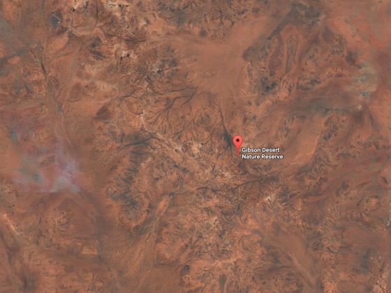 Gibson Desert