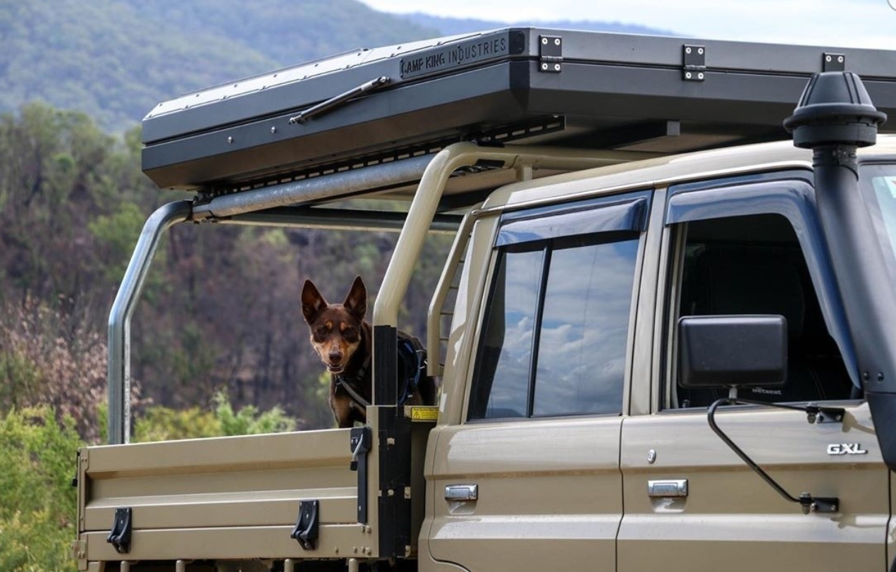 Screen Shot 2020 12 04 At 2.28.19 Pm