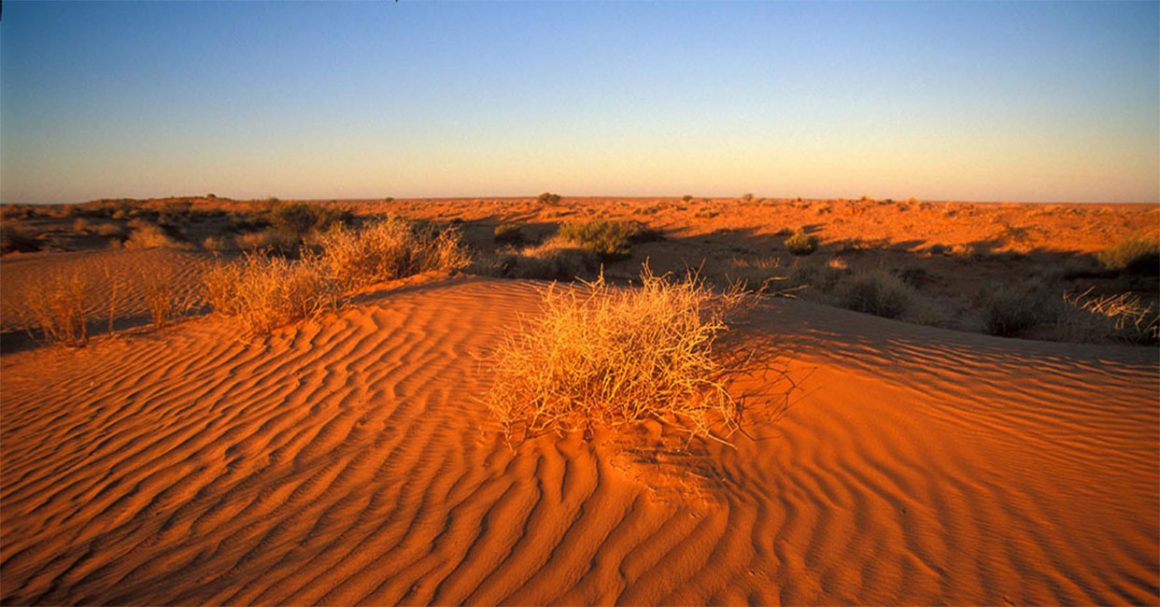 The Madigan line is still a defining feature of the simpson desert
