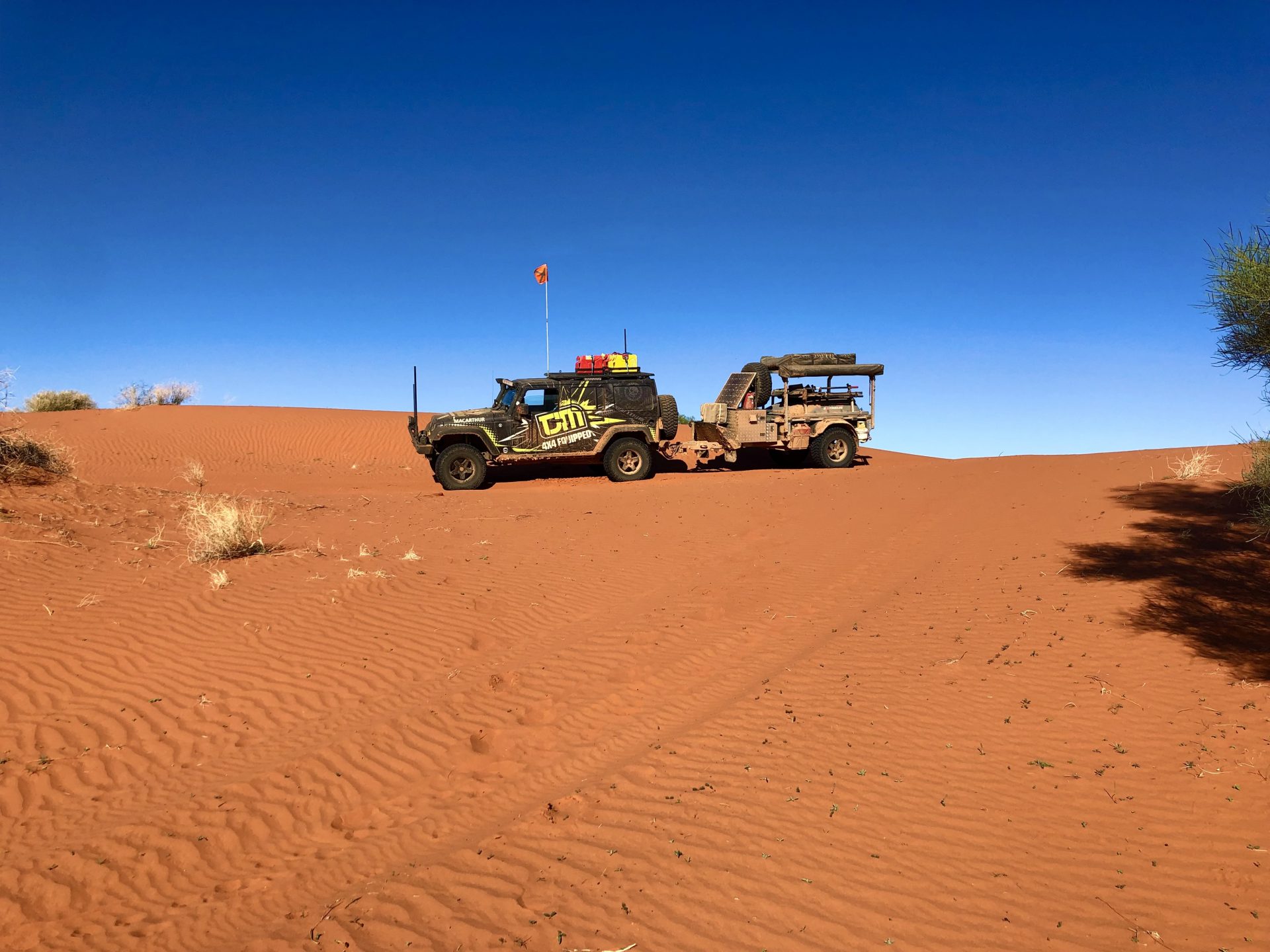 Simpson with a trailer 03