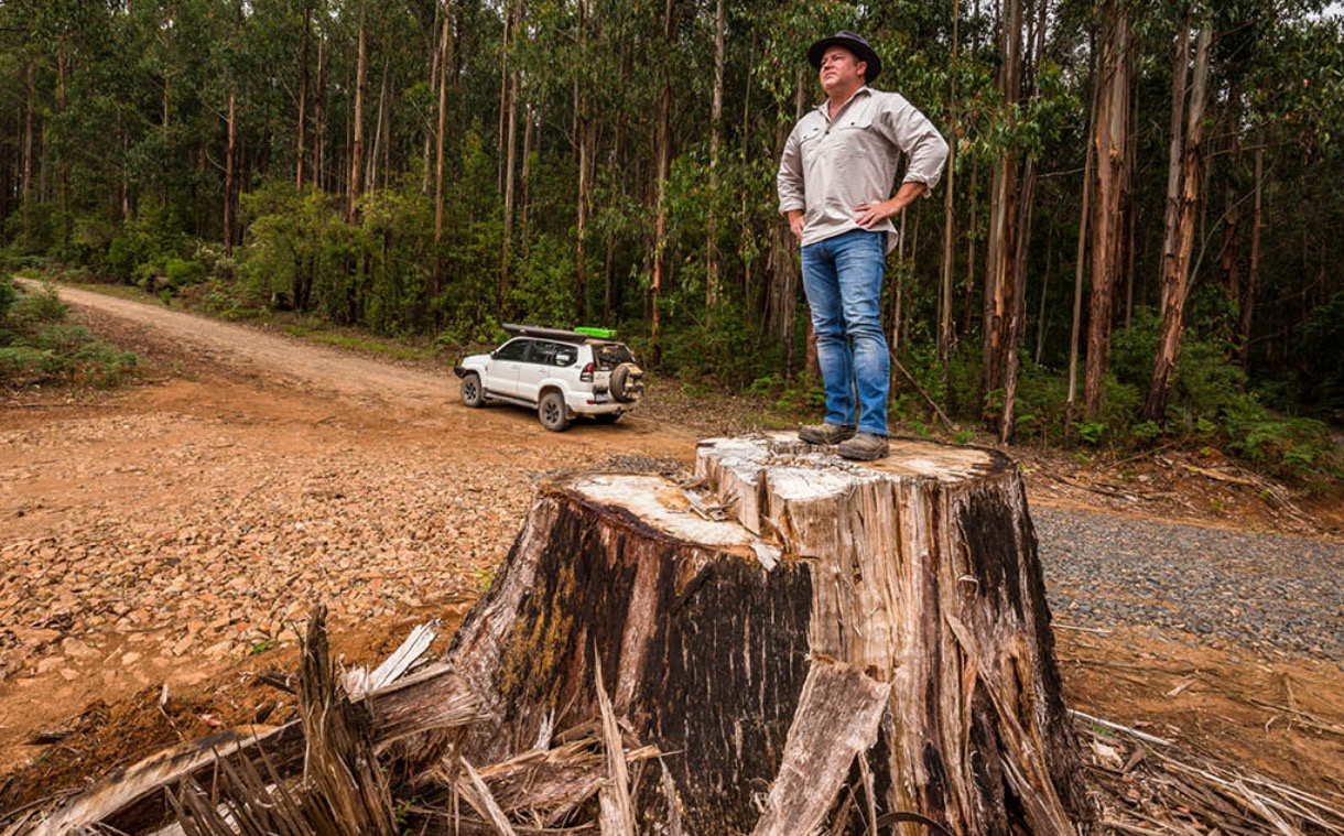 Toolangi 7