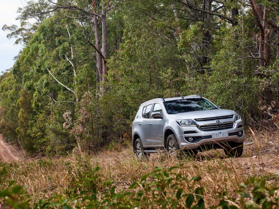 Trailblazer Dsc 4384