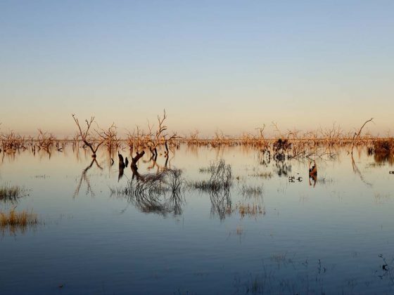 Travel-NSW Darling River-2