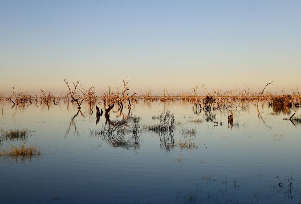 Travel-NSW Darling River-2