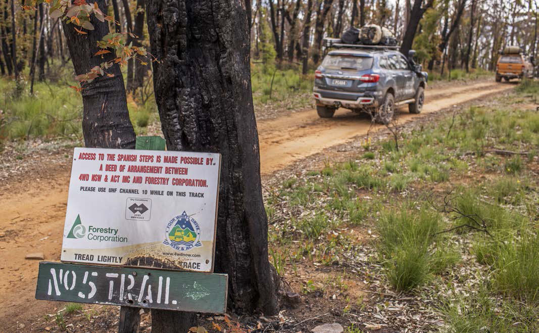 No 5 Trail along the Spanish Steps