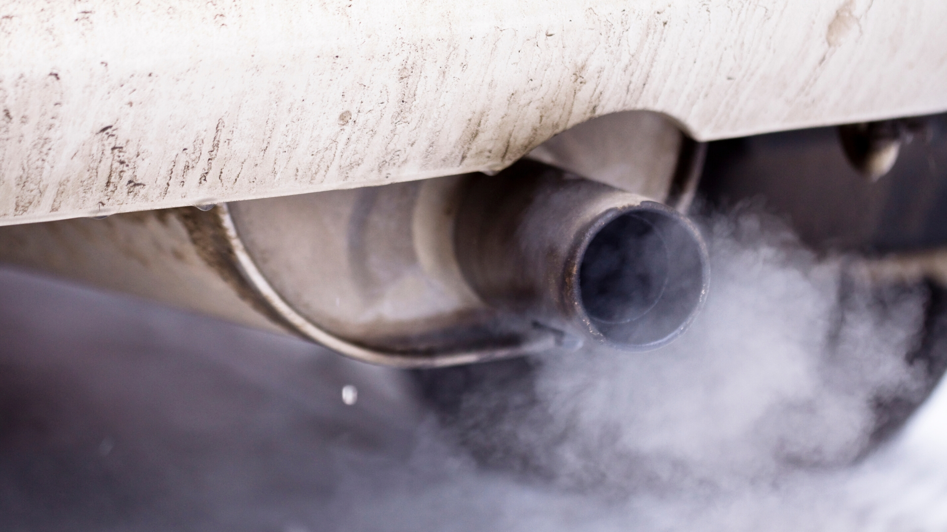 DPFs and second-hand diesels: what do you need to know?