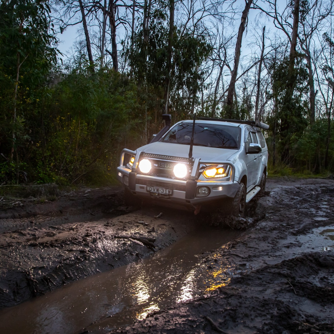 Night hawk driving lights