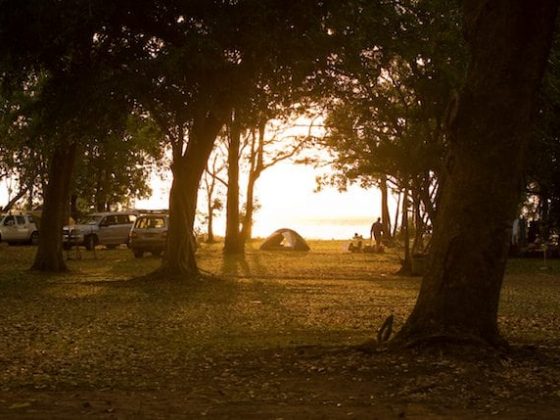 You sleep better when you're camping - It's official