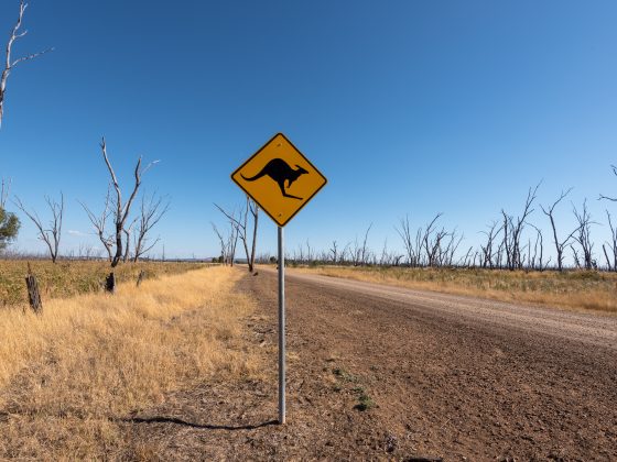 Kangaroo sign
