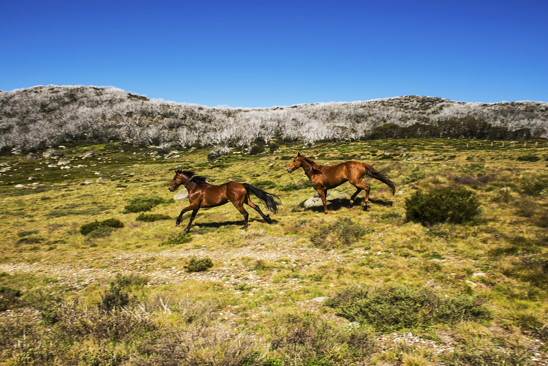 The Secrets of the Snowy Mountains - Pat Callinan's 4X4 Adventures