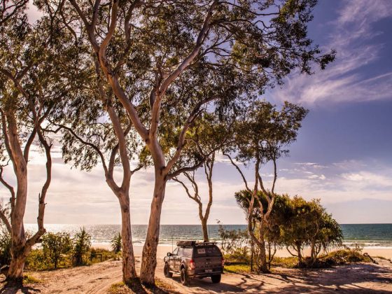 travel-qld-fraser-island-kgari-18